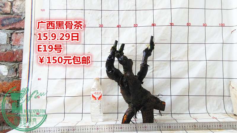 IMG_20150929_181228_.jpg