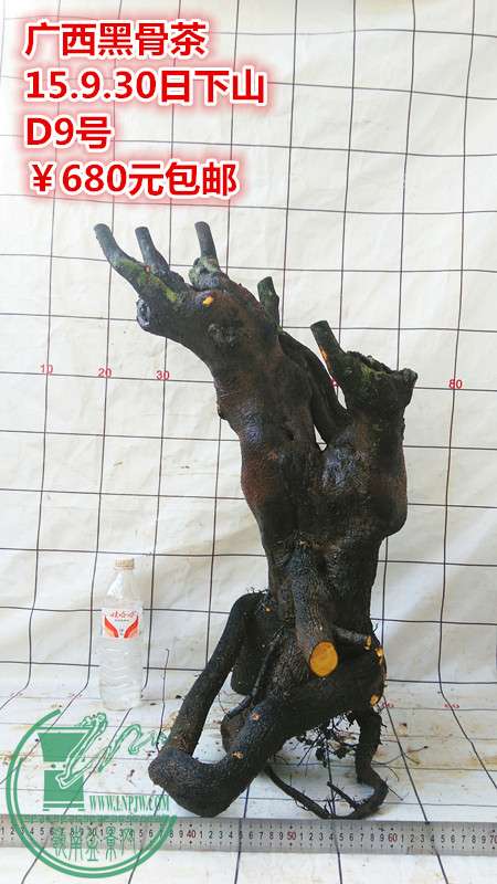IMG_20150930_172433_.jpg