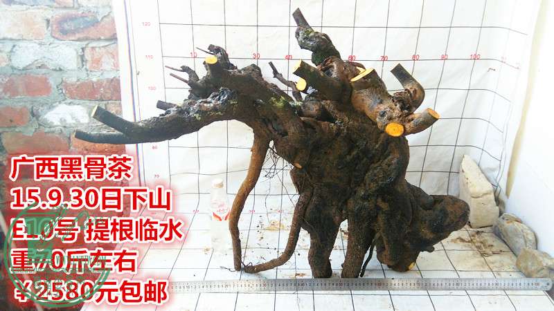 IMG_20150930_173124_.jpg