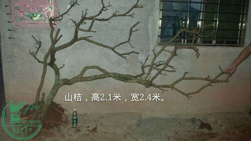 QQͼƬ20150930213414.jpg
