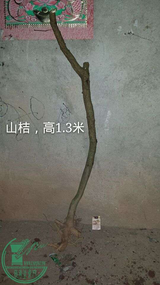 QQͼƬ20150930213628.jpg