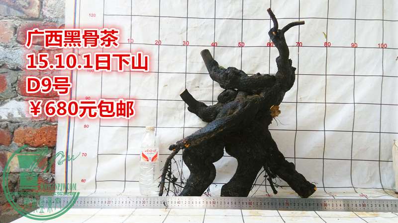 IMG_20151001_175115_.jpg