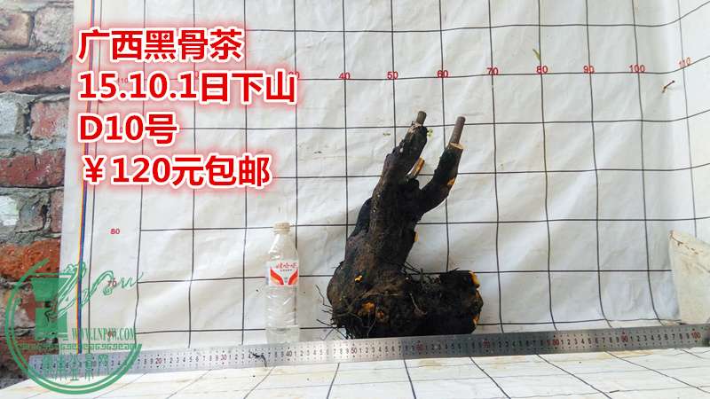 IMG_20151001_175211_.jpg