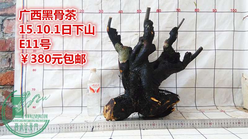 IMG_20151001_175412_.jpg