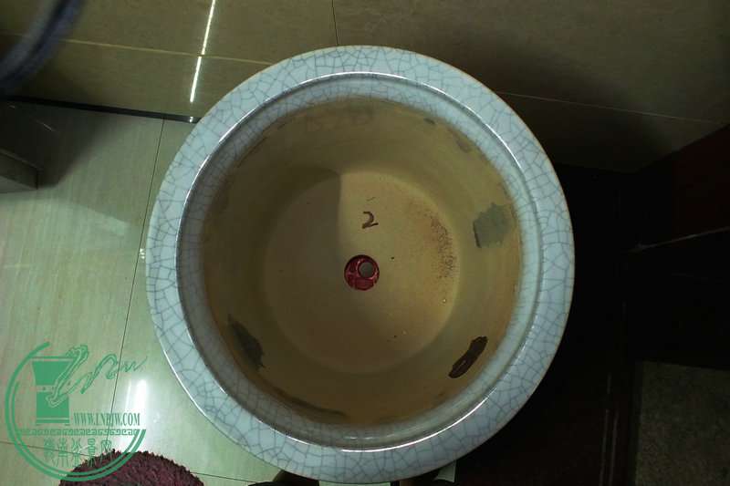 DSCF2344.JPG