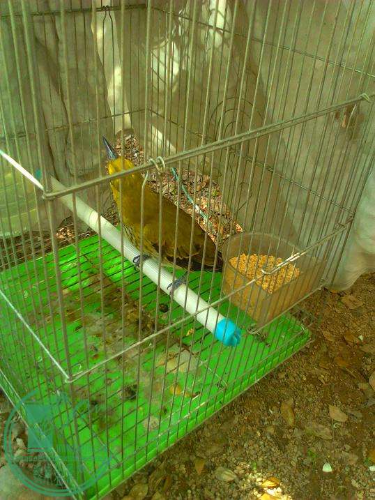  YP20151003101257.jpeg
