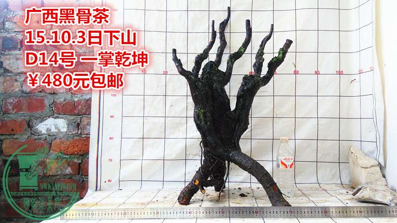 IMG_20151003_162501_.jpg