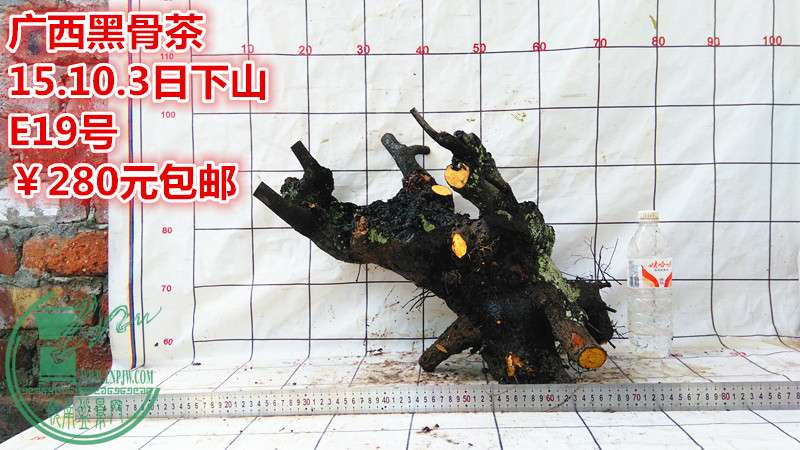 IMG_20151003_163736_.jpg