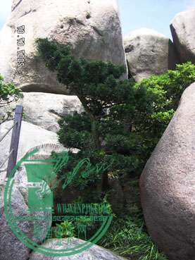 PICT2984.jpg