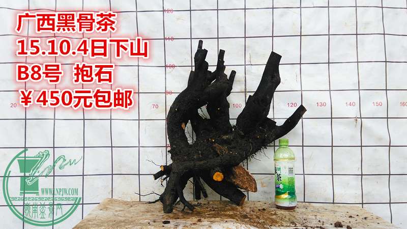 IMG_20151004_125728_.jpg