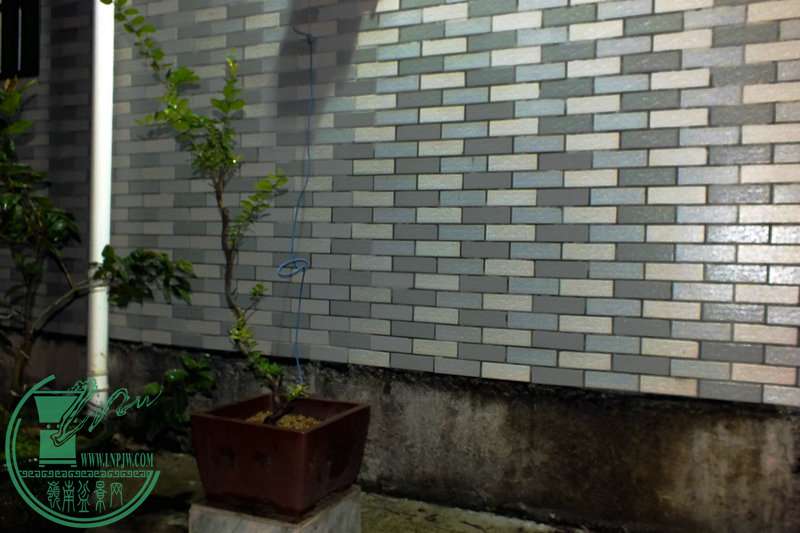 DSCF2348.JPG