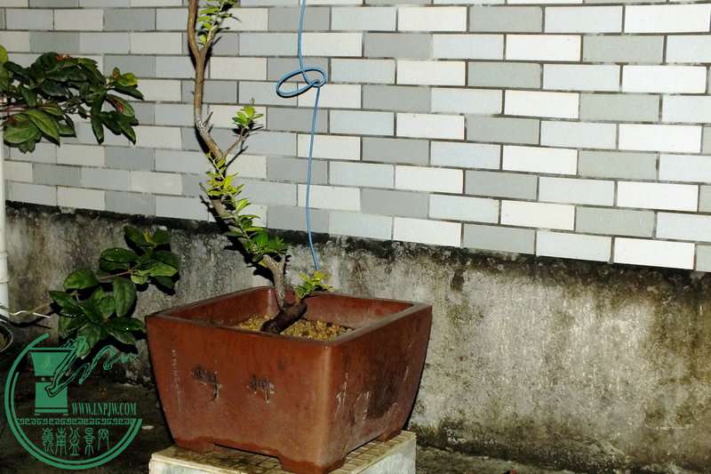 DSCF2349.JPG