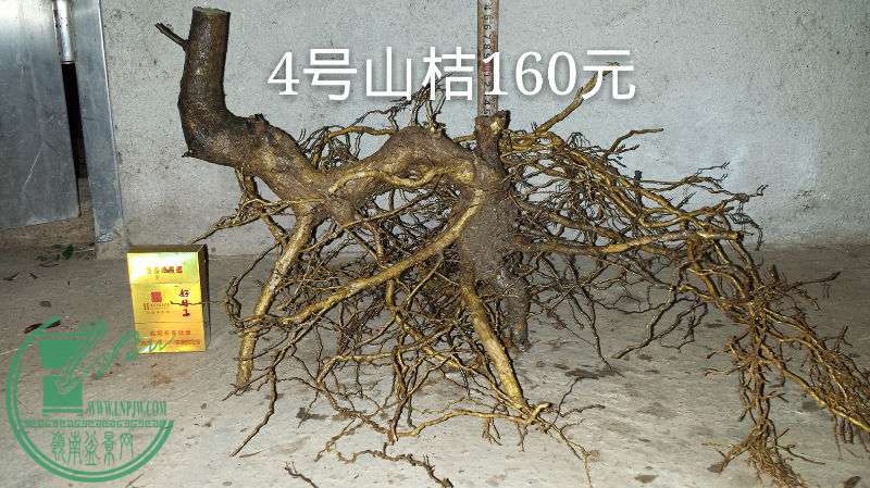 687983