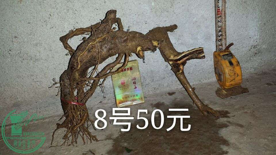 QQͼƬ20151006205856.jpg
