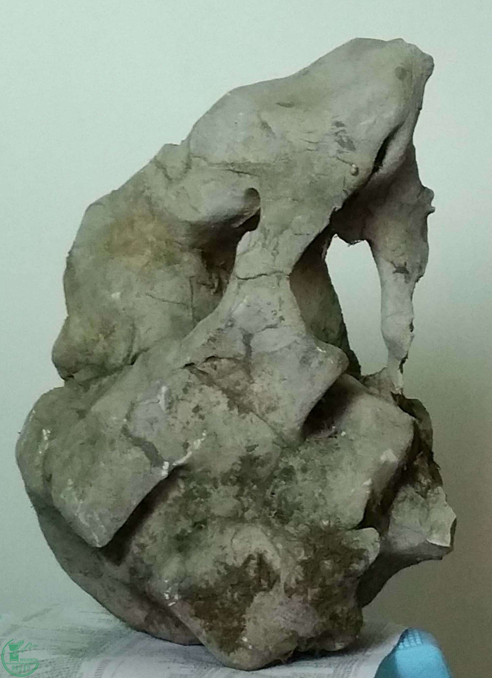 111.jpg