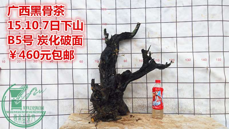 IMG_20151007_132514_.jpg