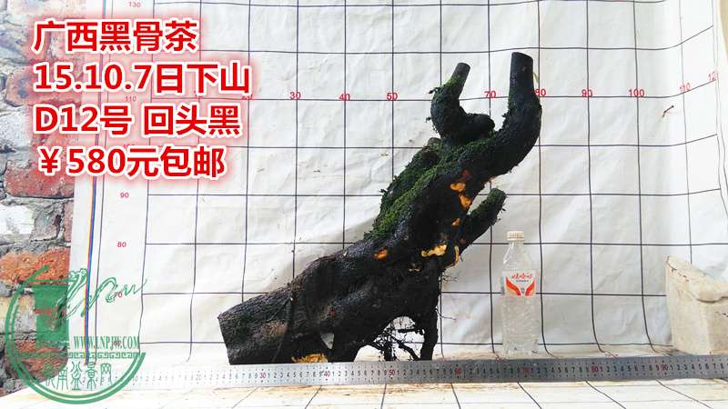 IMG_20151007_150805_.jpg