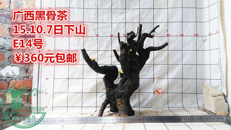 IMG_20151007_151613_.jpg