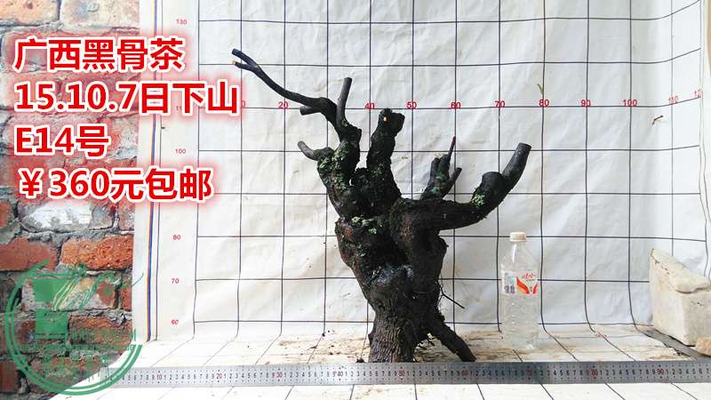 IMG_20151007_151735_.jpg