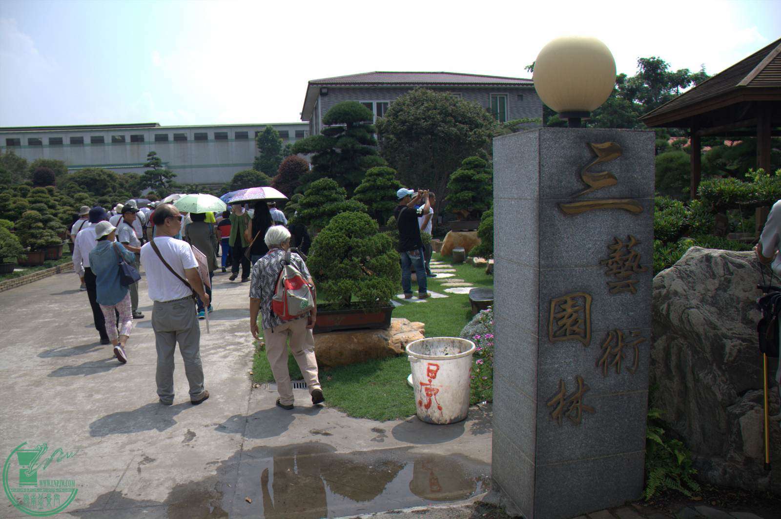 IMG_9561.jpg