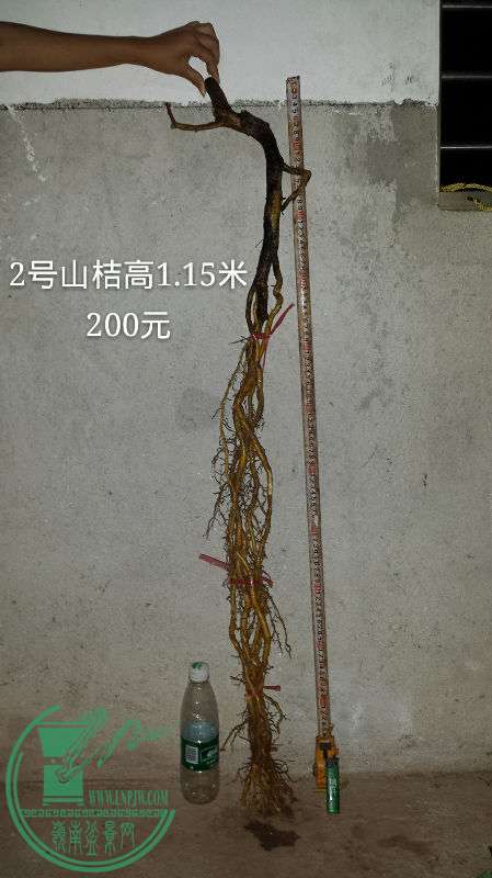 688506