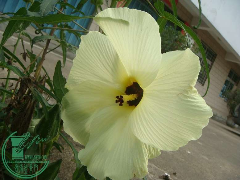 DSC09256.jpg