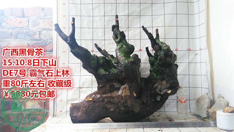 IMG_20151008_160241_.jpg