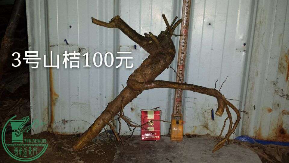QQͼƬ20151008200231.jpg