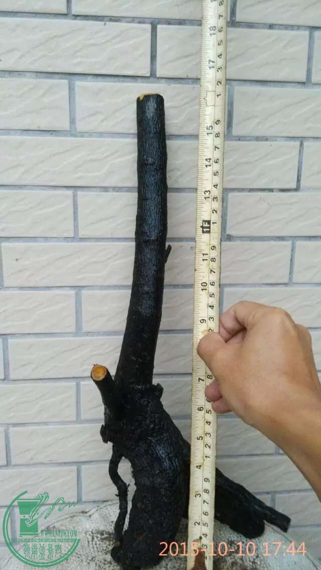 160