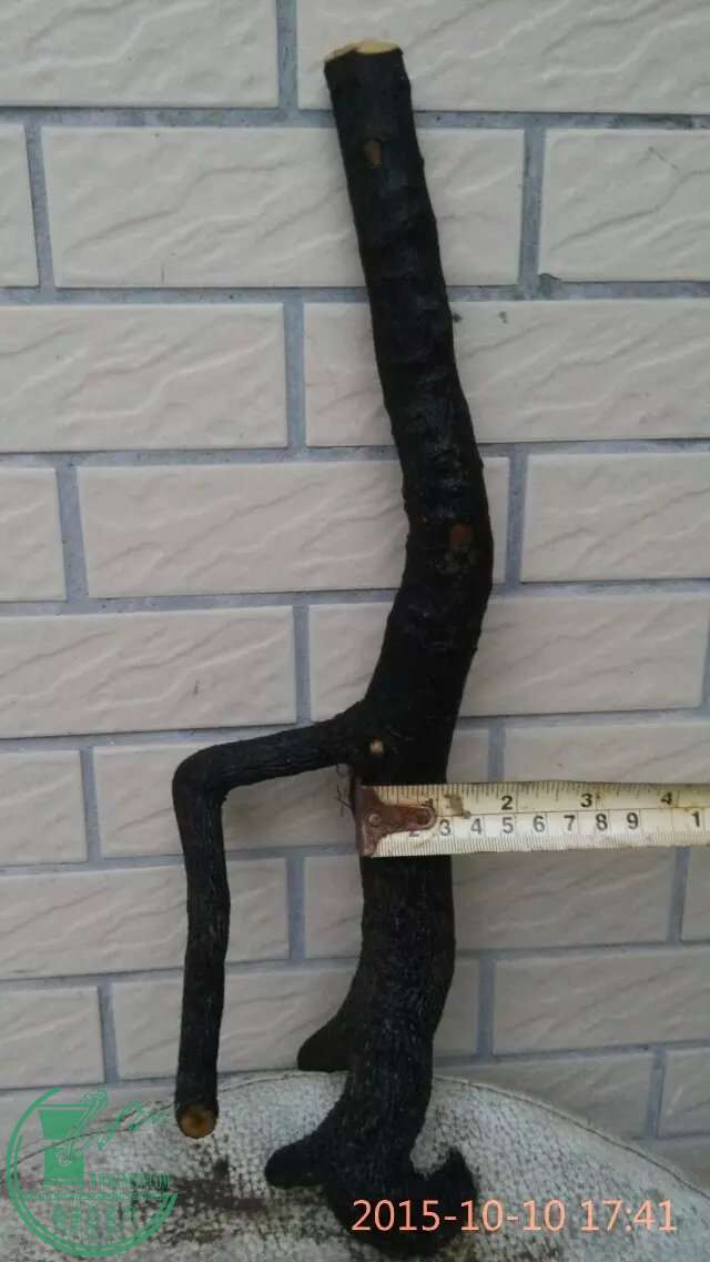 440