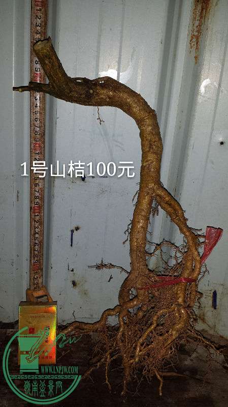 689154