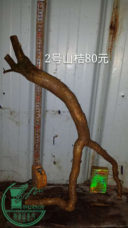 689156