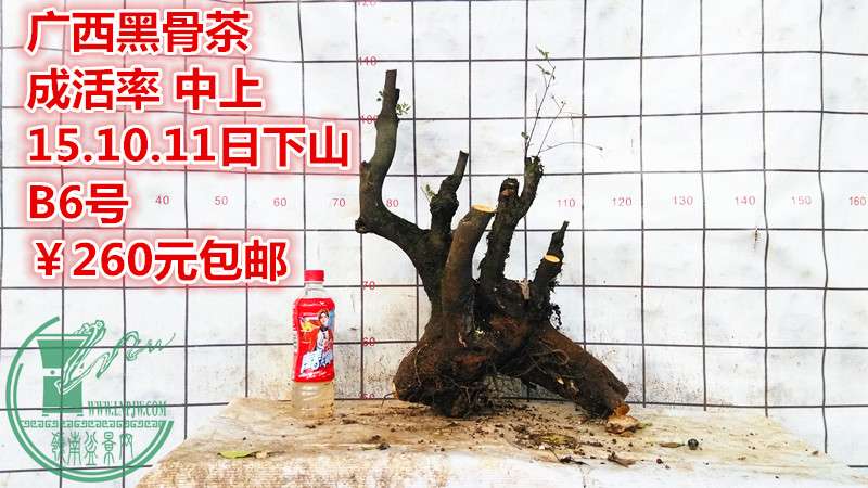 IMG_20151011_181022_.jpg