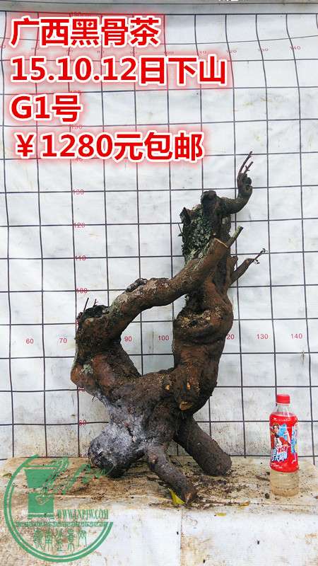IMG_20151012_120932_.jpg