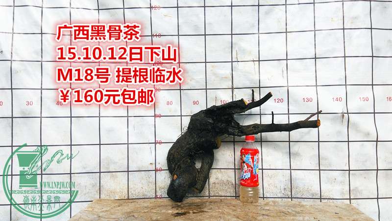 IMG_20151012_160807_.jpg