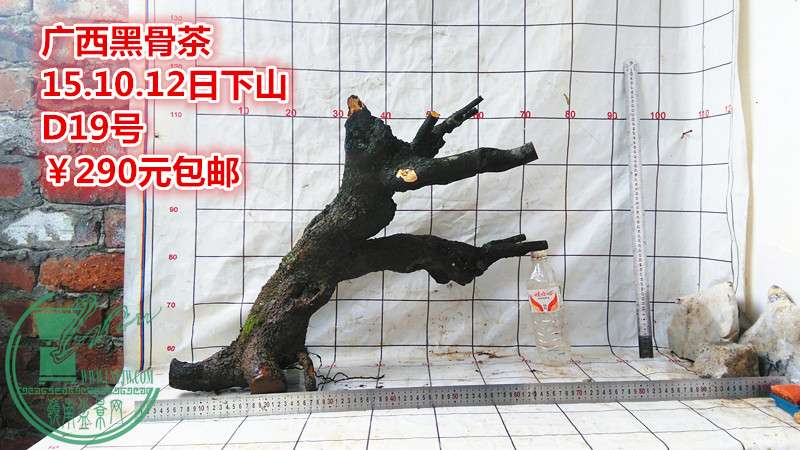 IMG_20151012_164907_.jpg