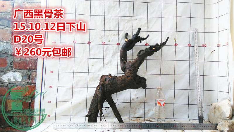 IMG_20151012_165120_.jpg