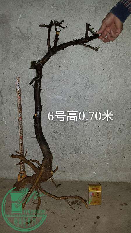 689801