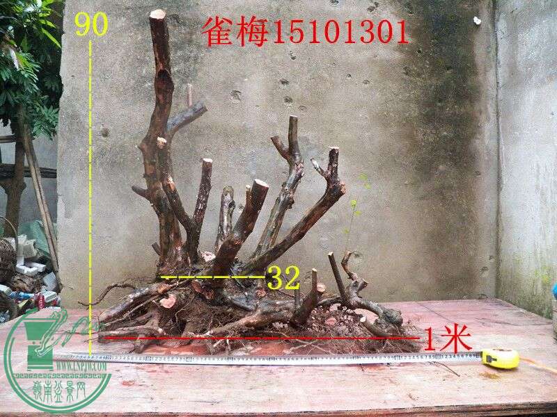 QQͼƬ20151013183827.jpg