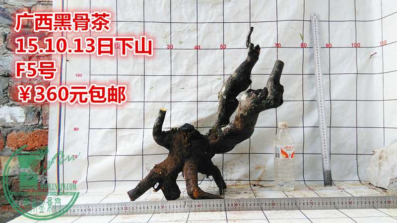 IMG_20151013_123729_.jpg