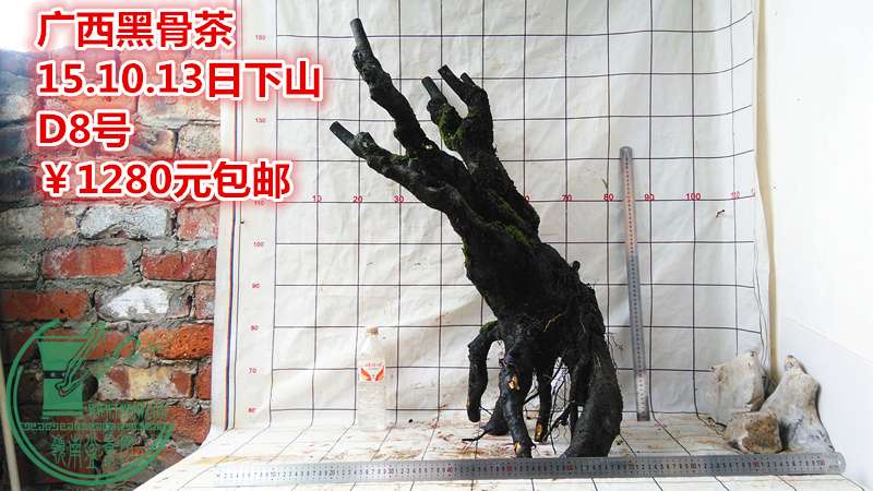 IMG_20151013_145130_.jpg