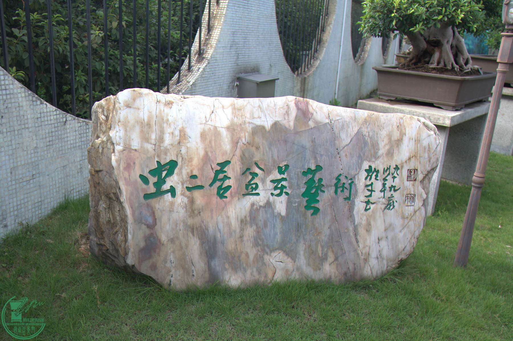 IMG_9729.jpg