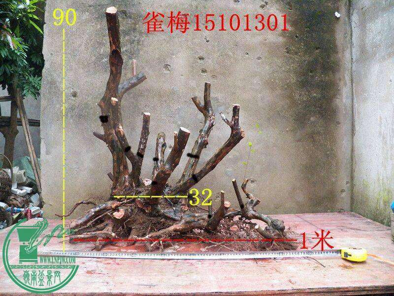 183844oe75hvnjkodlzdq7.jpg.thumb.jpg