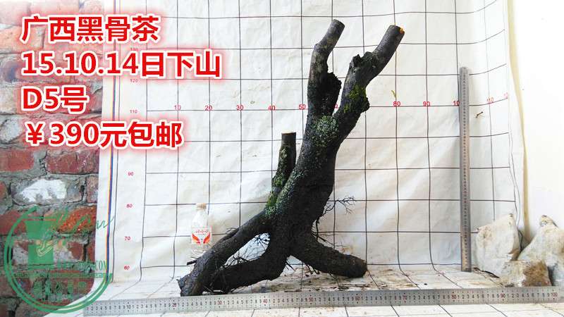 IMG_20151014_174240_.jpg