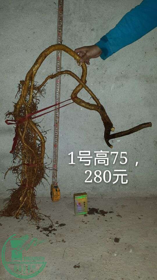 QQͼƬ20151014204945.jpg
