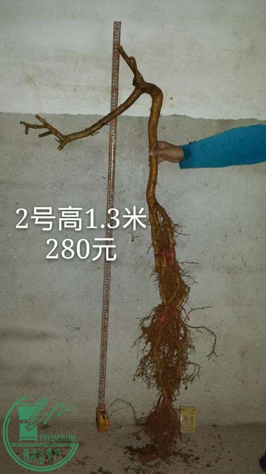 QQͼƬ20151014204954.jpg