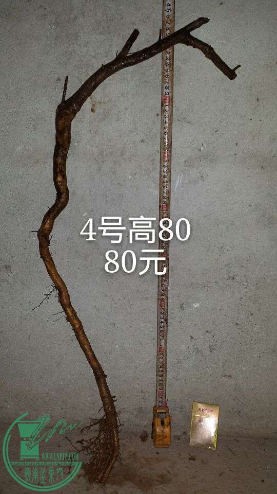 QQͼƬ20151014205002.jpg