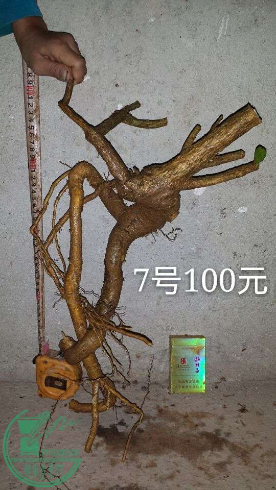 QQͼƬ20151014205042.jpg