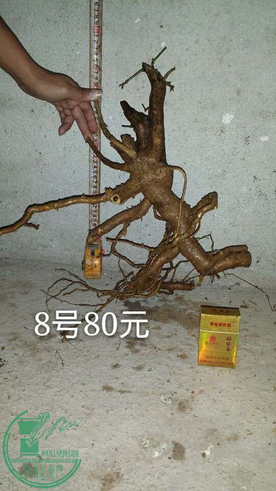 QQͼƬ20151014205047.jpg