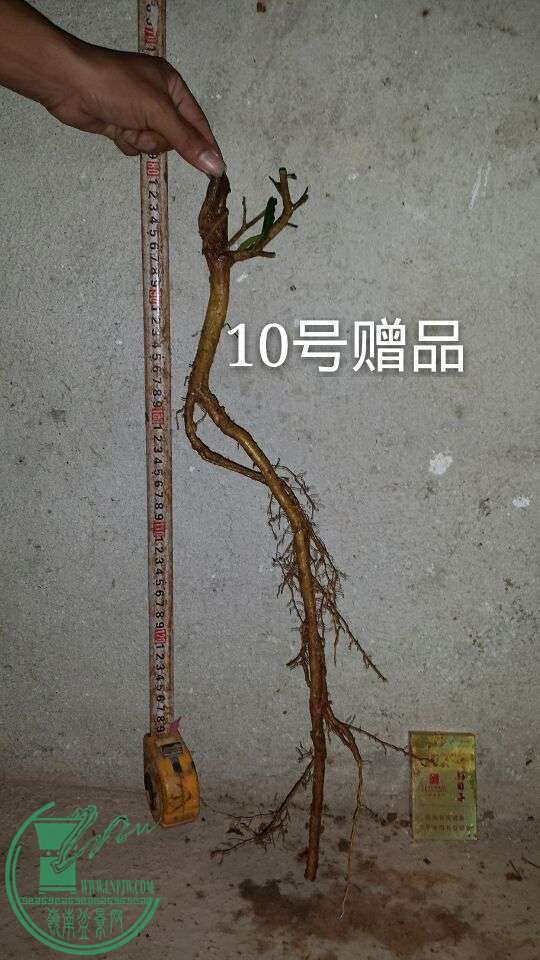 QQͼƬ20151014205101.jpg